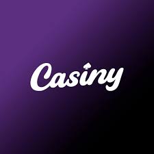 Everything You Need to Know About Casiny Login 22