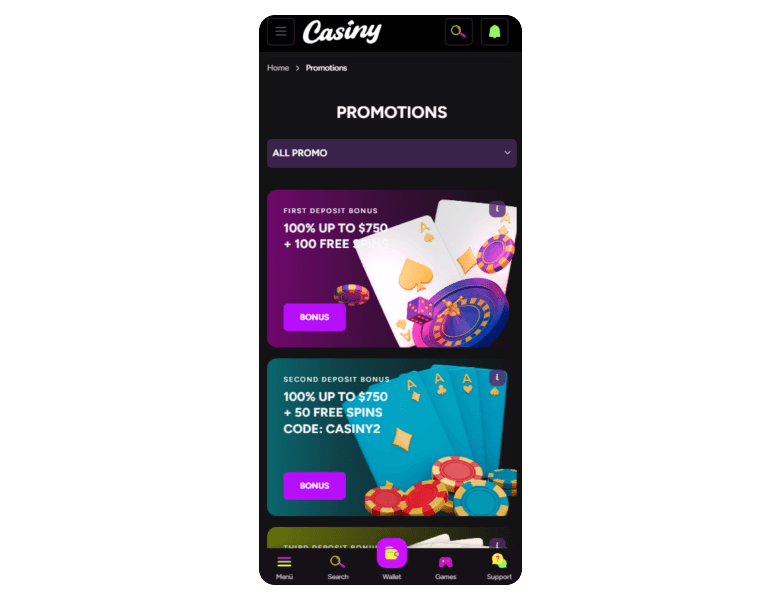 Everything You Need to Know About Casiny Login 22