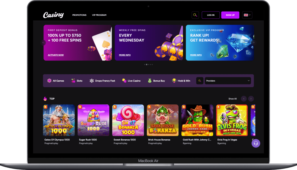 Everything You Need to Know About Casiny Login 22
