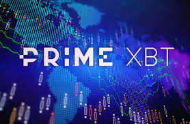 Discover the Power of PrimeXBT Trading Hub